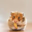 alvin