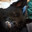 Whosgordon on Soundcloud