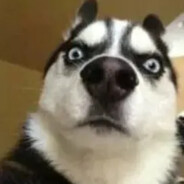 快餐爱情我不搞，正义青年就是导