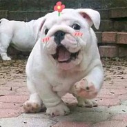 多情总被无情伤