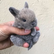 sporkling water - steam id 76561197960781912