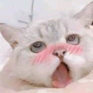 甜甜辣椒酱ฅ  ฅ