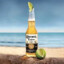 Holy_Corona_Beer_Lover