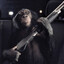 Trunk.Monkey