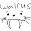 IAMTHEWALRUS