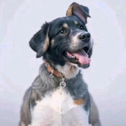 没事爱撒点小谎