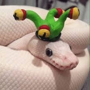 Peace Ambassador