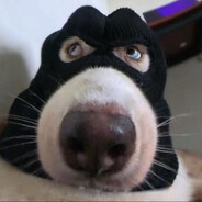 老婆你说句话啊