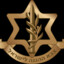Israel Defence Forces