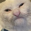 Rhimme