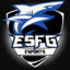 ESFGaming | Ærtflyær