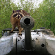 ReconRaccoon