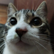 heugh's avatar