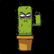 kaktoos