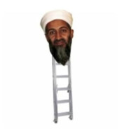 osama bin ladder