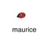 Maurice deity slayer