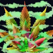 zOh - steam id 76561197960272533