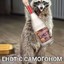 I&#039;m Racoon