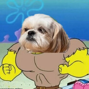 peixeb0t