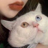 迪拜捡垃圾的劳累小喵