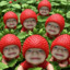 MR/POZITIV