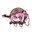 DoRo avatar