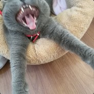 请叫我女王大人y