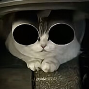 人生何处不青山  下把ECO