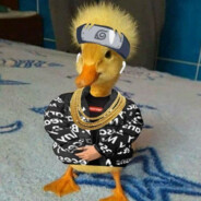 kimkamkam288