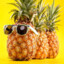 Pineapple2833