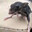 corrompido pelo vazio