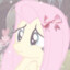 ¥ fluttershy ¥ (she/her)