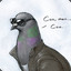 Mr. Pigeon