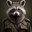 Pvt.Raccoon