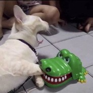 叭叭两枪就没了