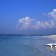 我方落荒而逃。。。。