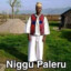 Niggu Paleru