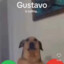 Gustavo