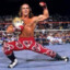 Shawn Michaels