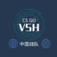 VSH.huishao