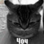 Zbl's avatar