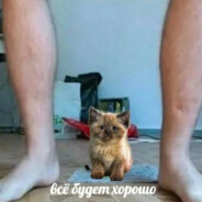 Подвальный акробат