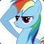 Pony bro