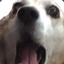 rurururururu