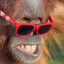 cdud's avatar