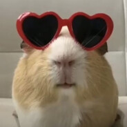 แอนฟิวว