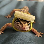 the atomic watermelon