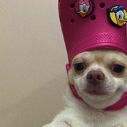 Mito