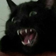 skizer