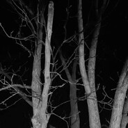 павелитель фида